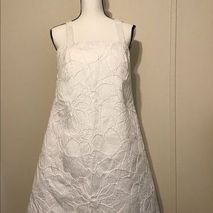 J Crew Dress Size 6